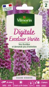Digitale Excelsior Variée
